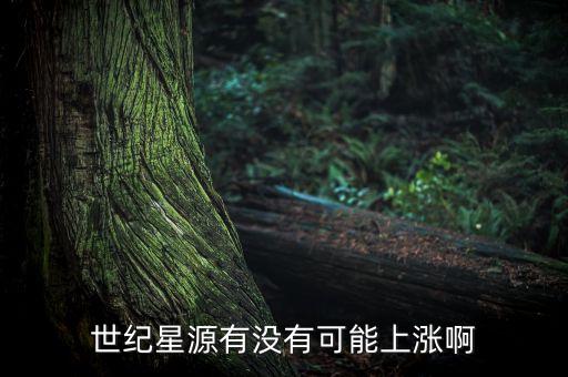 世紀(jì)星源股為什么不會(huì)漲，世紀(jì)星源有沒有可能上漲啊