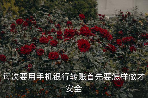 手機(jī)銀行轉(zhuǎn)賬有什么可以保護(hù)安全，手機(jī)開了手機(jī)銀行怎么保護(hù)