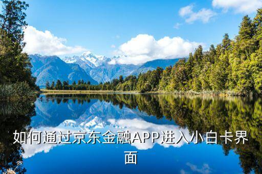 登陸京東金融后進(jìn)入什么頁(yè)面，京東金融app借錢(qián)界面在哪里啊