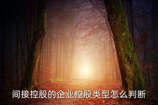 間接持股是什么意思，間接是什么意思