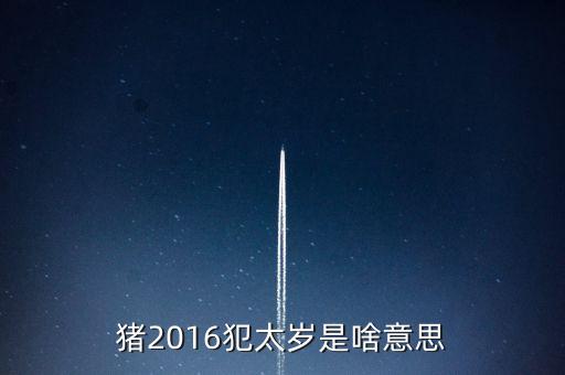 2016年犯什么星辰表，1974年的人在2016年犯太陽星嗎