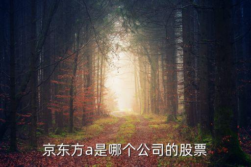 京東方a是什么企業(yè)，京東方A董事長是誰是什么企業(yè)