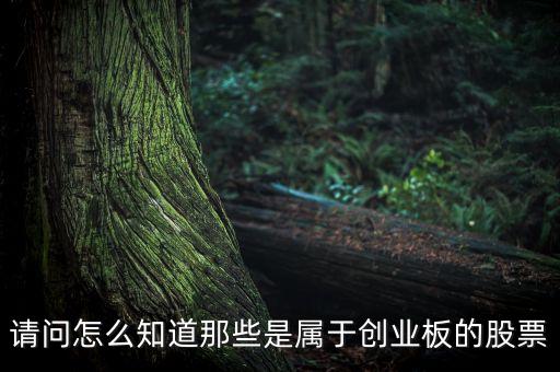 怎么知道創(chuàng)業(yè)板要出什么新股票，如何知道已經(jīng)開通創(chuàng)業(yè)板股票