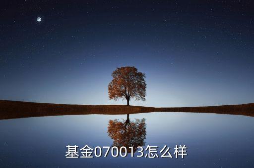 070013基金是什么基金，基金070013前面加of什么意思