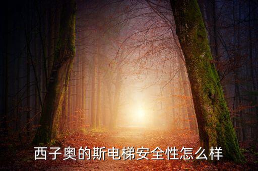 西子奧的斯電梯有什么缺陷，西子奧的斯電梯安全性怎么樣