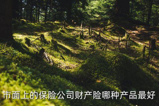 國外財險公司什么險種最火，市面上的保險公司財產(chǎn)險哪種產(chǎn)品最好