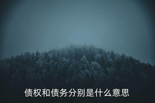 bsp票款債權(quán)是什么，銀行理財業(yè)務(wù)里面的liborbsp是什么意思