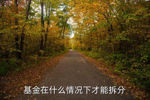 165523基金什么時候下拆了，基金在什么情況下才能拆分