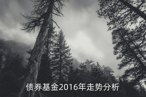 2016年的債券的投資的方向是什么，債券基金2016年走勢(shì)分析