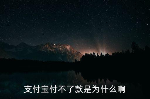 手機(jī)支付寶為什么不能付款，支付寶付不了款是為什么啊