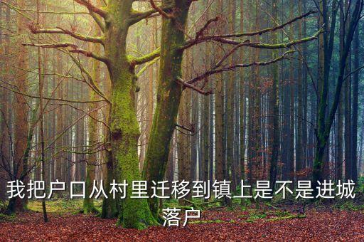 進城落戶是什么意思，進城務(wù)工人員隨遷子女是什么意思