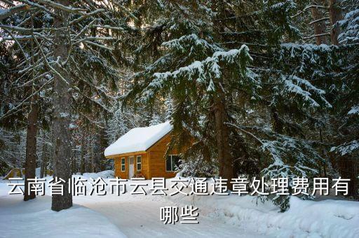 臨滄市車補正策是什么，臨滄市12315消費者協(xié)會如果汽車修理費過高可以投訴嗎