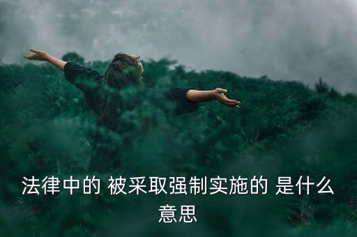 法律中的 被采取強(qiáng)制實施的 是什么意思