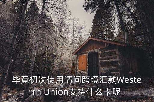 什么是西聯(lián)，畢竟初次使用請(qǐng)問跨境匯款Western Union支持什么卡呢