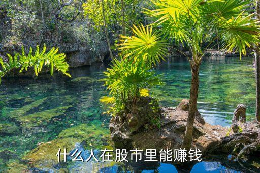 股市中什么人能賺到錢，目前在股市上賺錢的是些什么人