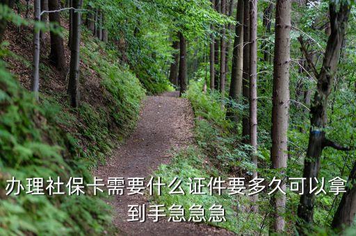 辦理社?？ㄐ枰裁醋C件要多久可以拿到手急急急