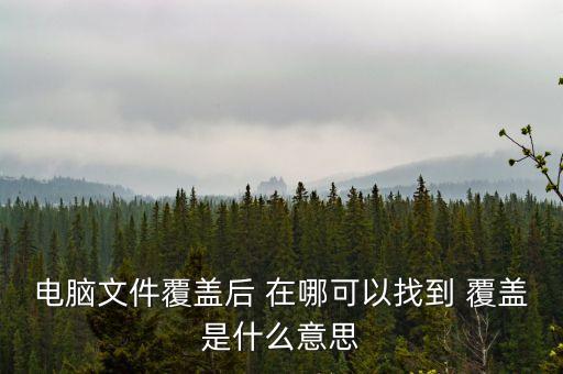 首次覆蓋是什么意思，首次覆蓋給予買(mǎi)入評(píng)級(jí) 什么意思