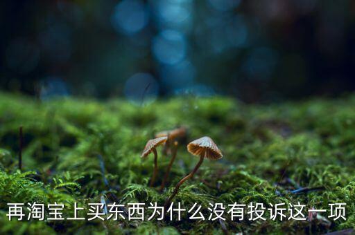 為什么消費(fèi)者網(wǎng)購不維權(quán)，再淘寶上買東西為什么沒有投訴這一項