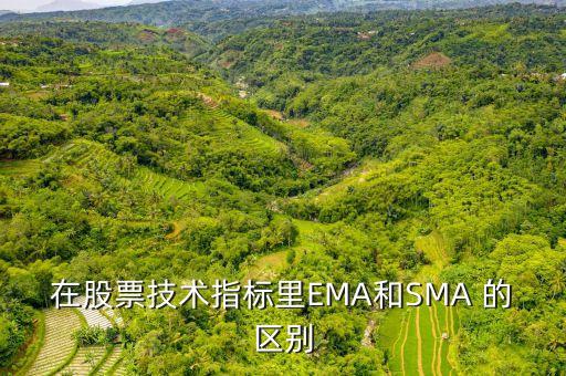 sma在黃金技術(shù)分析里是什么意思，在股票技術(shù)指標(biāo)里EMA和SMA 的區(qū)別