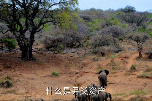 什么是另類投資，哪些項目屬于另類資產(chǎn)投資