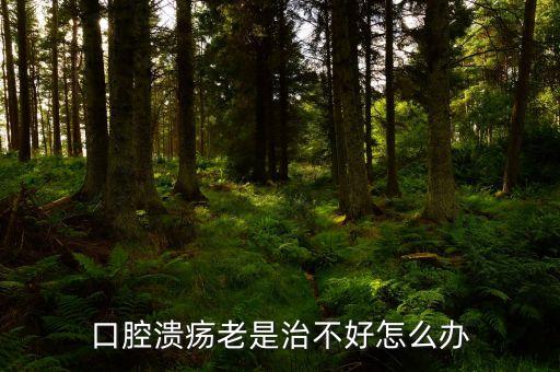 云南咖啡豆在什么時候采摘，云南小粒咖啡怎么吃要煮嗎