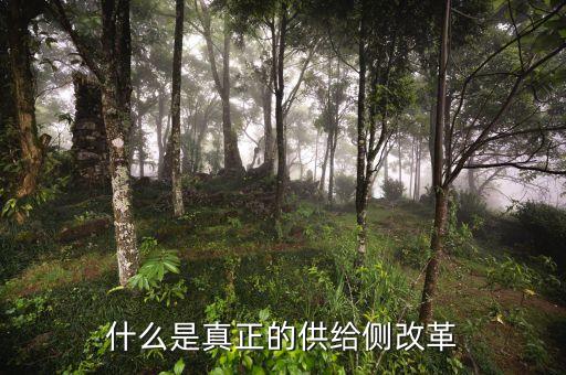 供給側改革的實質是什么，如何理解供給側改革