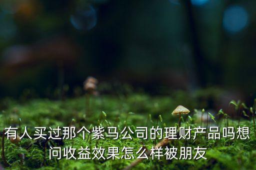 紫馬財(cái)富什么時(shí)間，有人買過(guò)那個(gè)紫馬公司的理財(cái)產(chǎn)品嗎想問(wèn)收益效果怎么樣被朋友