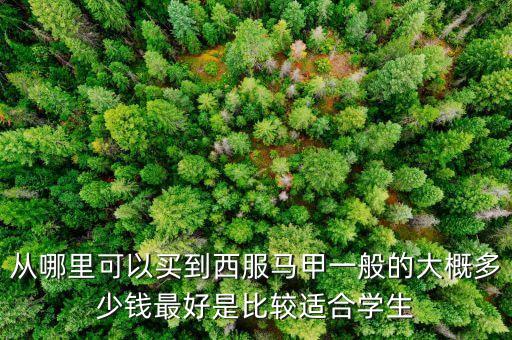 什么牌子賣西裝馬甲，什么牌子的西裝馬甲好