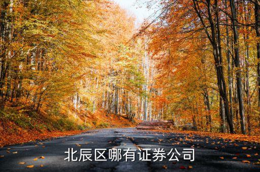 北辰區(qū)有什么證券工司，昆明北市區(qū)北辰小區(qū)或和諧世紀(jì)那邊有沒有證券交易所