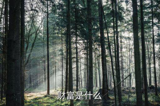 財富是什么莫奈，財富是什么