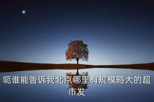 北京超市發(fā)有什么部門，呃誰能告訴我北京哪里有規(guī)模略大的超市發(fā)