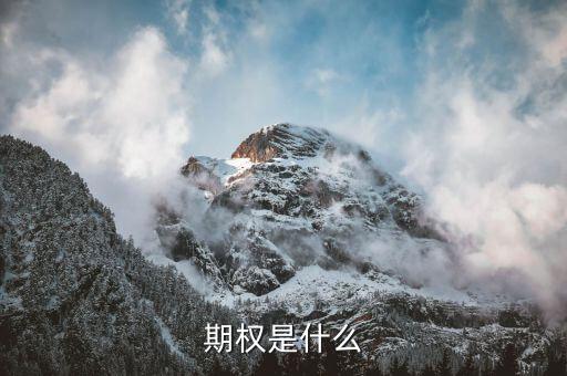授予期權(quán)是什么意思，無償授予股票期權(quán)是什么意思