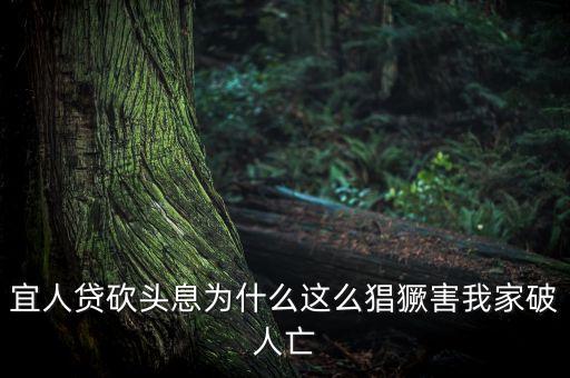 宜人貸為什么售罄，我的宜人貸為什么沒通過問題出在哪