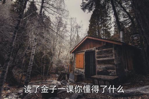 讀了金子一文你懂得了什么，讀了金子一課你懂得了什么