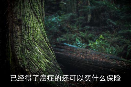 癌癥病人能買什么險，癌癥患者能參加什么保險
