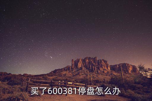 600381為什么被st，買了600381停盤怎么辦