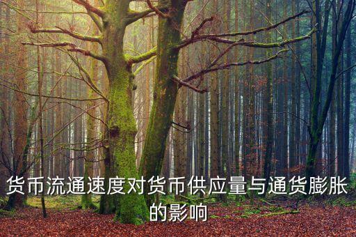 貨幣流通速度受什么影響，貨幣的流通速度和什么有關(guān)系