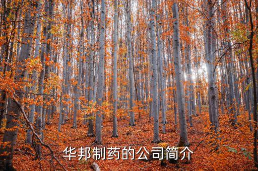 華邦制藥有什么產(chǎn)品，華邦制藥的企業(yè)理念