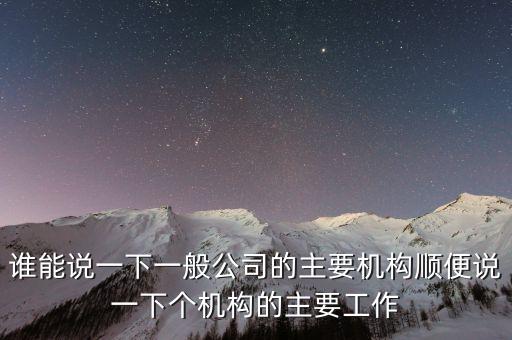 什么是非職工代表，請問我們公司之前是有兩名股東分別任命一人為總經(jīng)理執(zhí)行董事