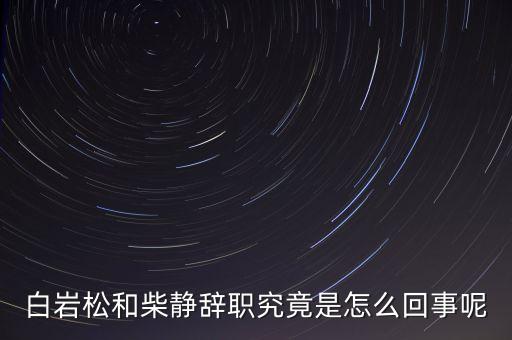 柴靜為什么辭職，白巖松和柴靜辭職究竟是怎么回事呢