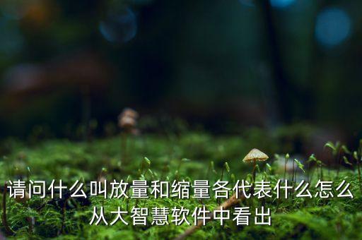 什么是放量和縮量圖片，請問什么叫放量和縮量各代表什么怎么從大智慧軟件中看出