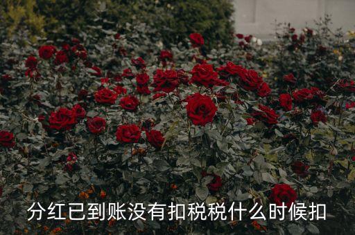 紅利稅什么時候扣除，分紅已到賬沒有扣稅稅什么時候扣