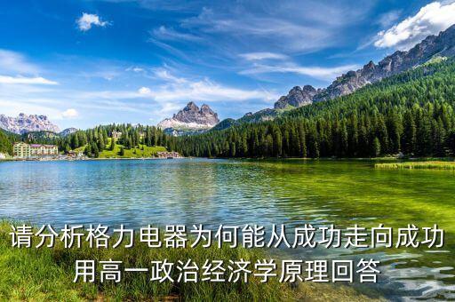 請分析格力電器為何能從成功走向成功用高一政治經濟學原理回答