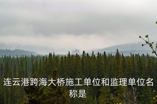 中交二航局什么平大橋，泰州長(zhǎng)江公路大橋施工單位是
