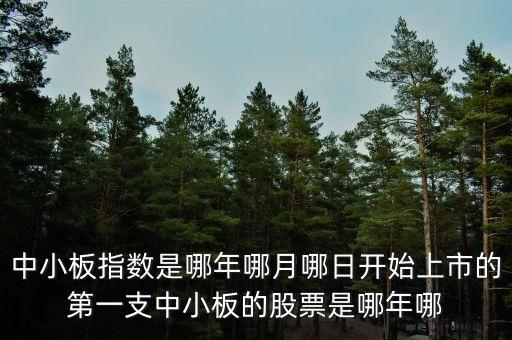 上證a股000002什么時候上市的，中小板指數(shù)是哪年哪月哪日開始上市的第一支中小板的股票是哪年哪