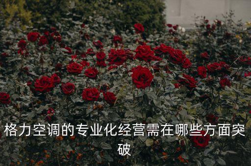 格力空調的專業(yè)化經營需在哪些方面突破