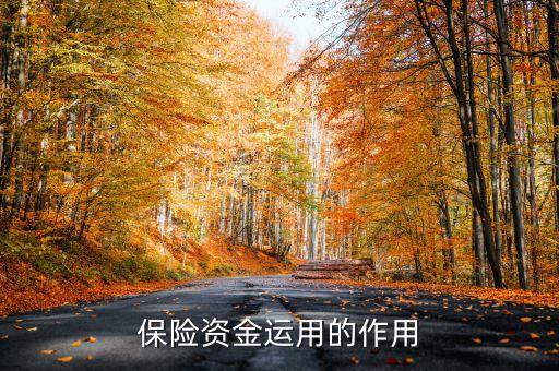 保險資金運用余額什么意思，保險每年的資金運用余額具體是什么