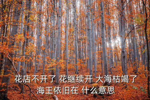  花店不開了 花繼續(xù)開 大?？萁吡?海王依舊在 什么意思