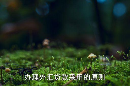 貸款三查指什么，銀行貸款三查不嚴(yán)能使貸款合同無效嗎