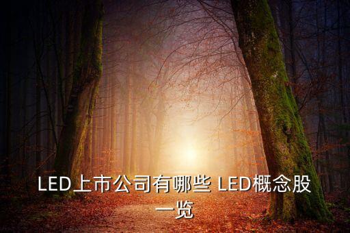 上市公司鴻什么視訊，視訊行業(yè)有哪些公司